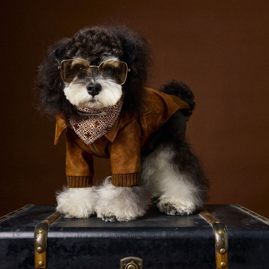 Abrigo de Cuero Retro Estampado Schnauzer Bichon - Manga Larga Unisex