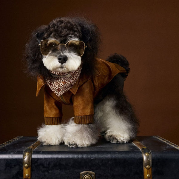 Abrigo de Cuero Retro Estampado Schnauzer Bichon - Manga Larga Unisex
