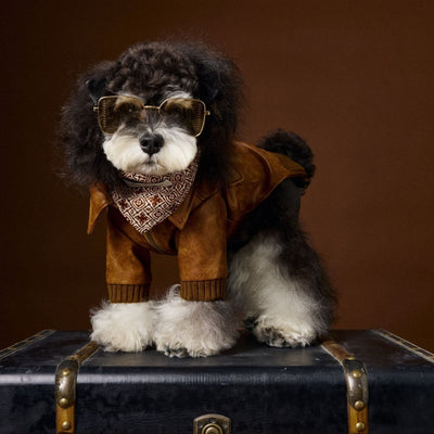 Abrigo de Cuero Retro Estampado Schnauzer Bichon - Manga Larga Unisex