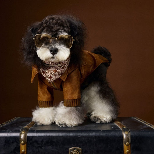 Abrigo de Cuero Retro Estampado Schnauzer Bichon - Manga Larga Unisex