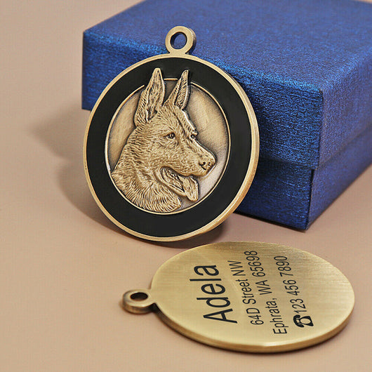 Placa de Identificación Antipérdida para Mascotas - Grabado Personalizado - Image 14