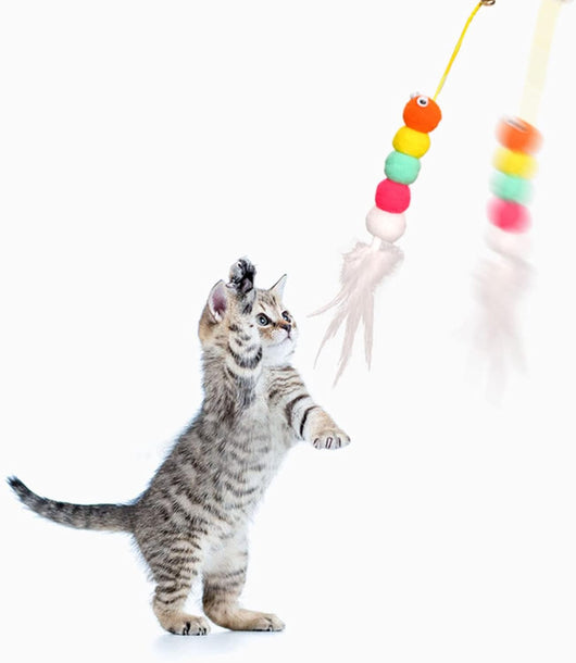 Juguete Interactivo Retráctil para Gatos con Catnip - 200cm de Diversión - Image 4
