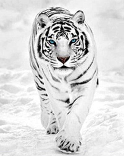 Cuadro de Diamantes Tigre Completo - Pintura DIY con Taladros Redondos y Cuadrados - Image 9