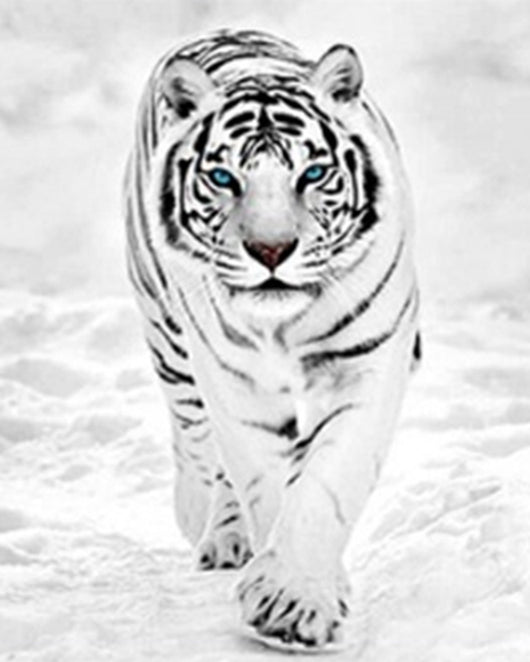 Cuadro de Diamantes Tigre Completo - Pintura DIY con Taladros Redondos y Cuadrados - Image 9