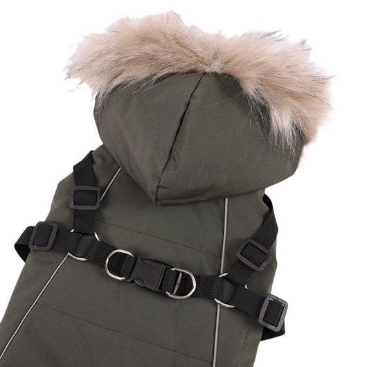 Traje Elegante para Perro con Chaleco y Gorro de Pelaje - Image 18