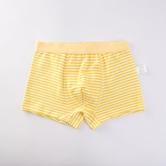Calzoncillos Tipo Boxer de Algodón Premium para Niños con Rayas
