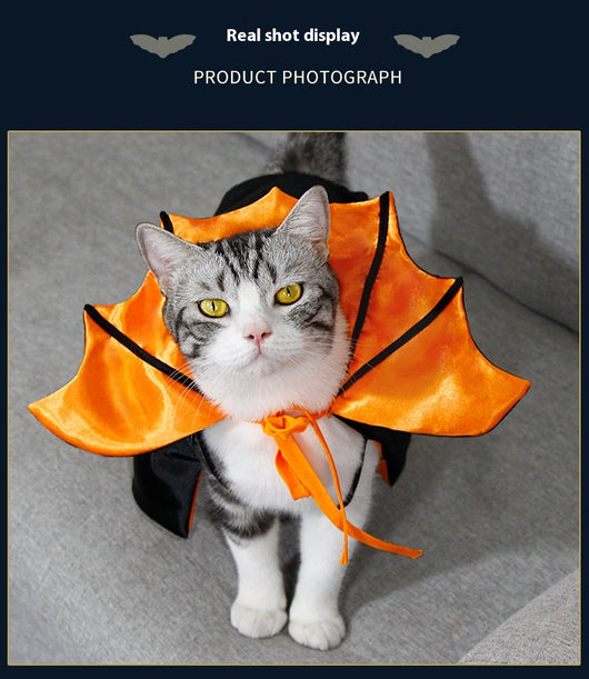 Capa de Halloween para Gatos - Disfraz Festivo Elegante - Image 12