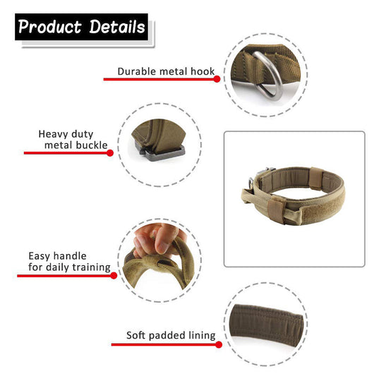 Collar para Perro - Image 11