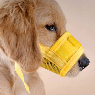 Orange and black adjustable pet muzzle with breathable mesh and a quick-release buckle.
