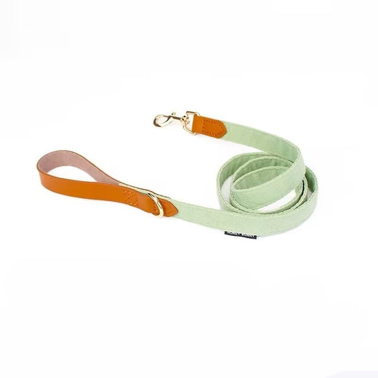 Collar de Cuero para Perro con Letras y Moño - Correa de Mano - Image 6