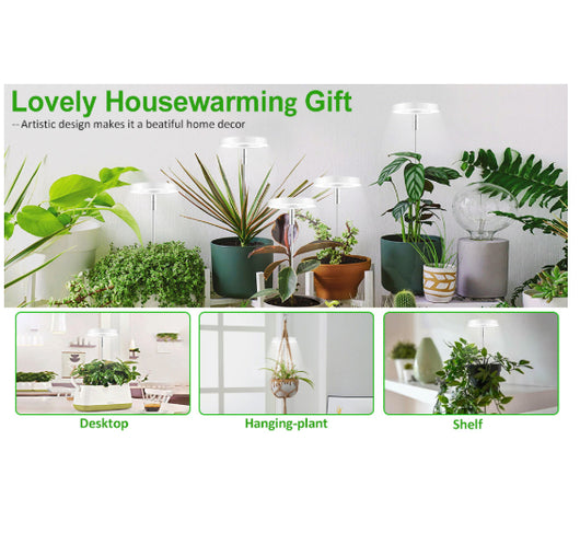 Luz LED de Crecimiento para Plantas Suculentas y Bonsái con Temporizador y Atenuador - Image 7