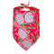 Red-fleshed pitahaya
