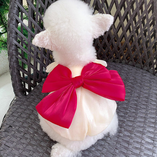 Falda Streamer para Perros - Ropa Elegante y Cómoda