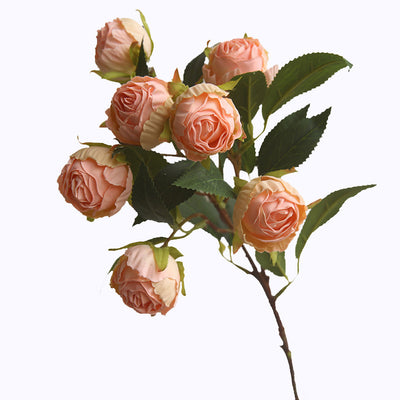 Rosa Clásica Francesa con Bordes Quemados - Flor Seca Artificial - Image 5