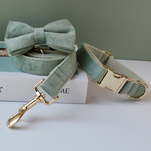 Collar y Correa para Perro Verde Menta