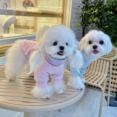 Playera de Bloques de Color para Mascotas - Ropa Cómoda para Perros - Image 12
