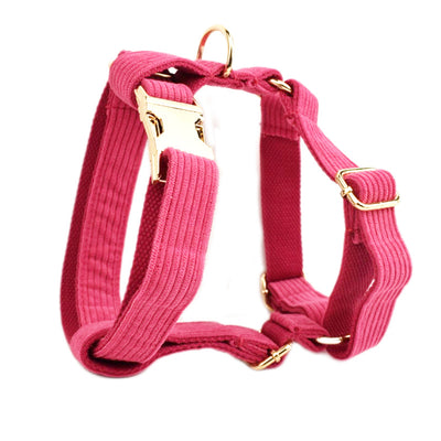 Collar para Perro de Terciopelo Suave - Image 28