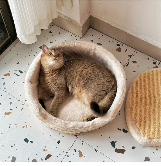Casa Térmica para Gatos - Nido Lavable Todo Clima - Image 19