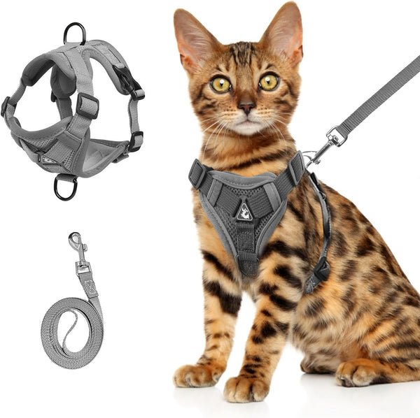 Arnés y Correa para Gatos de Verano - Chaleco Ajustable Anti-Escape en Malla Suave