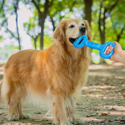 Hueso Masticable Resistente para Perros Agresivos con Banda Interactiva - Image 16