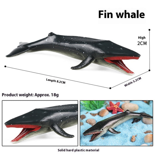 Juego Educativo de Animales Marinos Realistas para Niños - Image 33
