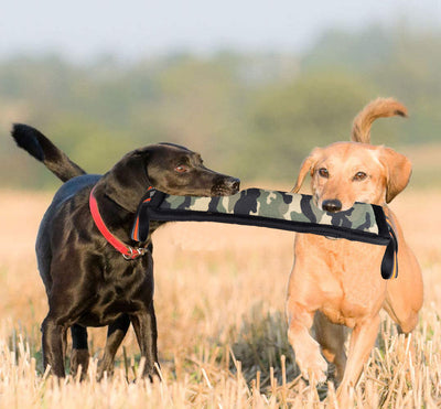 Palo de Entrenamiento Resistente para Perros - Hemp Bite Stick Molar Fine - Image 6