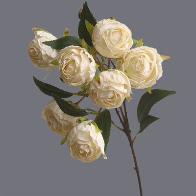 Rosa Clásica Francesa con Bordes Quemados - Flor Seca Artificial - Image 6