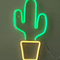 Cactus USB