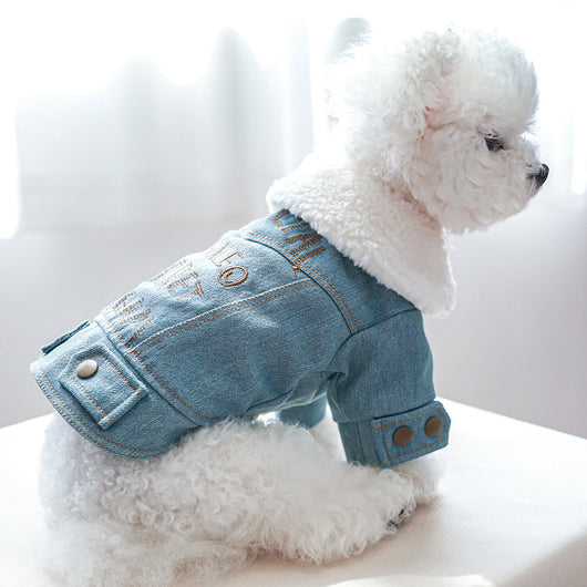 Abrigo de Mezclilla Gruesa para Mascotas con Letras Estampadas - Image 7