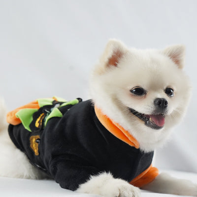 Ropa de Abrigo para Mascotas - Otoño e Invierno - Image 9