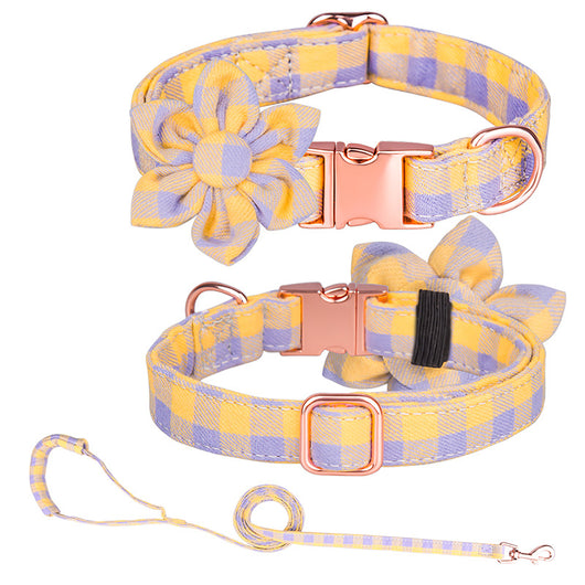 Juego de Collar y Correa Personalizado para Mascotas - Image 9