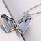 Memory Footprint Locket Necklace, Beautiful Gift For Dog Lovers Plateado