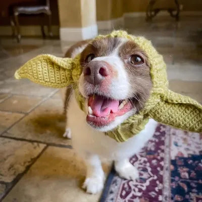 Gorro Tejido Dinosaurio para Perros - Cálido, Impermeable y Divertido - Image 19