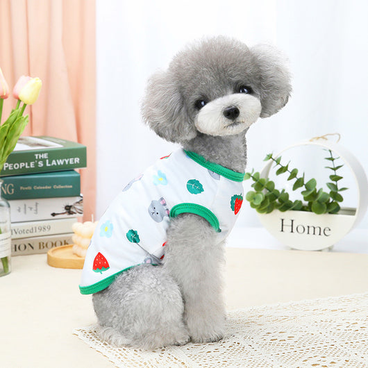 Ropa de Disfraz para Mascotas Primavera Verano - Image 9