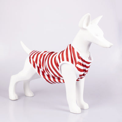 Chaleco Rayado Transpirable para Perros - Ropa Cómoda y Fresca - Image 9