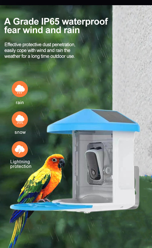 Comedero Automático para Mascotas con Cámara Solar - Image 20
