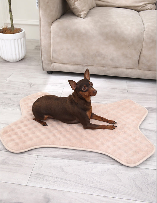 Tapete Antideslizante para Mascotas Pequeñas y Medianas - Protección Total - Image 12