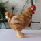 Almohada de Peluche Gallina Gigante - Juguete Decorativo Suave