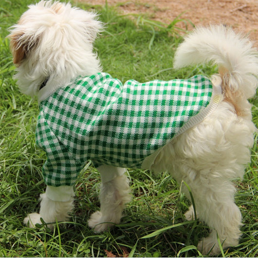Suéter Deportivo para Perros con Cuello Alto Resistente al Viento - Image 15