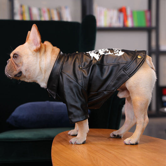 Ropa para Perros de Dos Patas con Forro Polar - Marca Tide Plus - Image 3