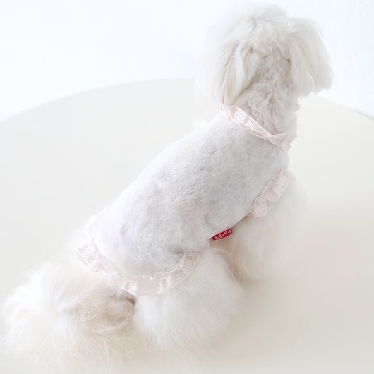 Chaleco de Encaje Antiestático para Mascotas - Ropa Elegante para Perros y Gatos - Image 4
