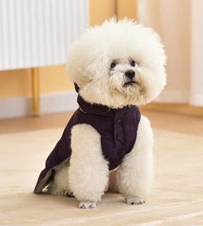 Ropa de Algodón para Perros Otoño e Invierno - Image 22