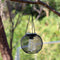 Linterna Decorativa de Jardín Calada Ultra Brillante