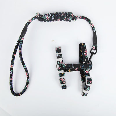 Arnés de Paseo para Gatos con Correa Pectoral - Image 19