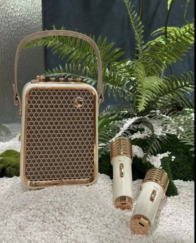 Sistema de Parlante Bluetooth con Dos Micrófonos para Familia - Image 6