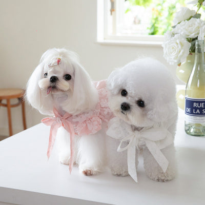 Vestido para Gato con Collar de Moño Elegante - Image 10