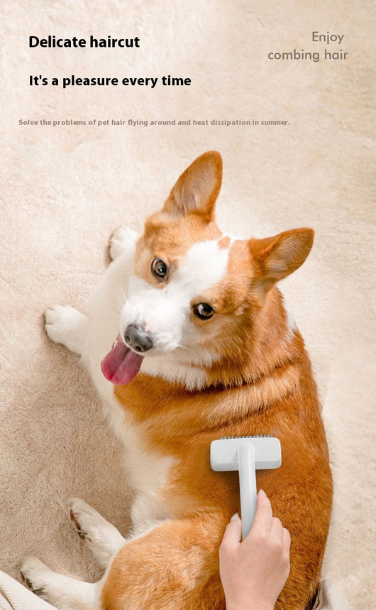 Peine Desanudador para Mascotas - Gatos y Perros - Image 10