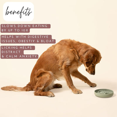 Comedero Lento de Silicona para Perros - Diseño Moderno Anti-Gulping - Image 7