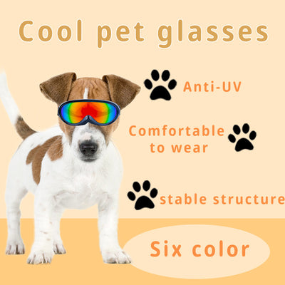 Gafas de Sol Protectoras para Mascotas - Diseño Resistente al Viento - Image 5