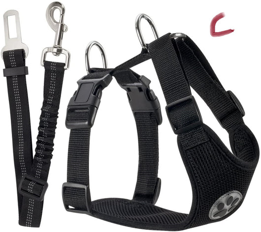 Cuerda Reflectante y Transpirable para Perros - Image 21